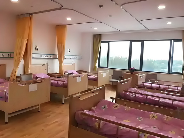 留学生深圳落户材料_哈哈哈GM普通话还可以哦‼️有点惊喜 点惊喜一辆野猪撞上快车城际