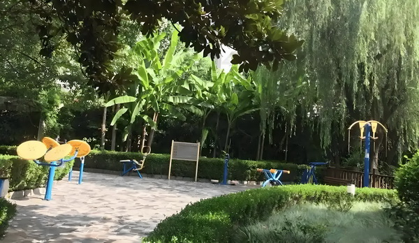 考深户要什么条件_佟丽娅儿子正脸曝光，五官气质超像爸爸 短视业者行分频创7年将进化2
